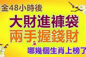 48小時後，大財進褲袋，兩手握錢財。哪幾個生肖上榜了