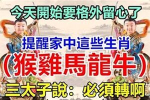 今天開始要格外留心了，猴雞馬龍牛~三太子說：必須轉啊