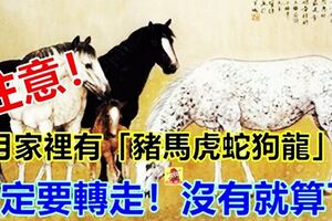 六月份家裡有「豬馬虎蛇狗龍」的人，一定要轉走！沒有就算了