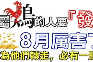 屬雞的人要「發」8月厲害了！必有一財！