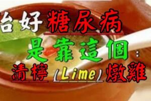 原來治好糖尿病是靠這個！清檸(Lime)燉雞，健康的寶物，再忙也抵要看完！