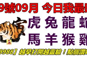 19號09月，今日我最旺！虎兔龍蛇馬羊猴雞！【19988】越早打開越靈驗！點個讚吧！