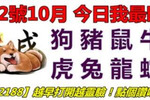 12號10月，今日我最旺！狗豬鼠牛虎兔龍蛇！【12188】越早打開越靈驗！點個讚吧！