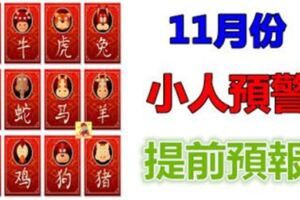 12生肖，11月份小人預警提前預報！