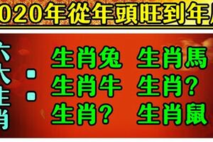 2020年鹹魚大翻身！從年頭旺到年尾的6大生肖，有你嗎？