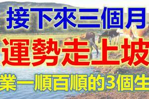 接下來三個月，運勢走上坡，事業一順百順的3個生肖