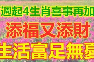 下週起，4生肖喜事再加喜事，添福又添財，生活富足無憂