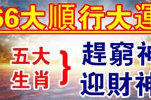 66大順行大運，趕窮神，迎財神的生肖