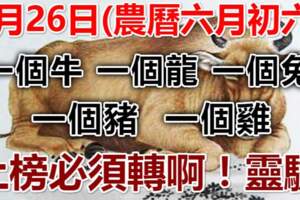 7月26日(農曆6月06)要格外留心了，一個牛，一個龍，一個兔，一個豬，一個雞！大吉大利！