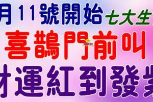 8月11號開始喜鵲門前叫，財運紅到發紫的生肖