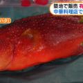 當官員發現「一條毒魚被民眾買走」後，日本政府全城動員的處理方式讓大家全都看傻了眼！