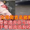 【殘忍的母親！】可憐男嬰被遺棄在馬路上等死　左手臂被流浪狗咬走