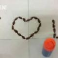 用蟑螂告白遭拒越南一男生告白用38隻活蟑螂拼成「我愛你」