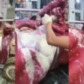 中國製「假霜降牛」把雪花攪到均勻影片瘋傳…真相曝光神逆轉：超傻眼(10P+影)