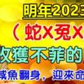 2023年迎來命中貴人，鹹魚翻身的生肖