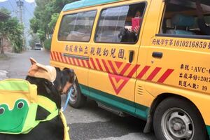 老公月薪4萬，幼稚園一學期近20萬，媽嚇：「誰敢生小孩！」