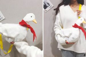 路人回頭率100%！　韓國爆紅「呆萌小鴨包」快去揪閨蜜一起背♡