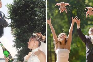 俄羅斯人的幽默好難懂…　30張「非主流過頭」的結婚照
