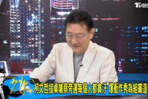 柯文哲組黨挺不下去 高嘉瑜爆原因！趙少康噴笑了