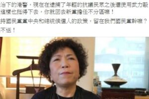 遭韓國瑜國政顧問嗆回新黨 葉毓蘭：非挺香港黑警 港府應成立調查委員會