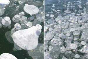 浮不上來的泡泡　北海道冬季限定「冰凍泡泡」整個湖面成奇景
