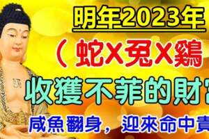 2023年迎來命中貴人，鹹魚翻身的生肖