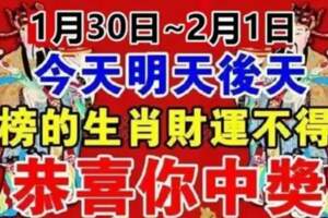 1月30日~2月1日，財運不得了的生肖