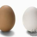 買雞蛋該選紅皮還是白皮呢