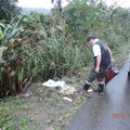 約300隻狗疑遭煮食棄骨山區 賞10萬元緝凶 