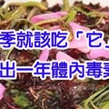 夏季就該吃「它」，清暑熱，補鐵補鈣，排出一年體內毒素！