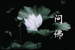 叫花子的「三個承諾」，據說 100%啟悟佛性...看完你會明白人生！（深度好文）