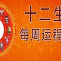 十二生肖一周運勢！（9月04日-9月10日）