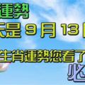 今天是9月13日十二生肖運勢您看了沒?必看!