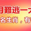 這些生肖10月被財神盯上，天降橫財多，前4名難逃一大獎