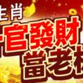 11月4號以後會行大運，陞官發財，事業上升變老闆的3大生肖