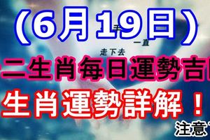 十二生肖每日運勢吉凶：2017年6月19日生肖運勢詳解！注意了！