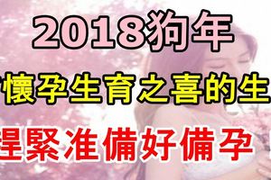 2018狗年有懷孕生育之喜的生肖，趕緊准備好備孕！