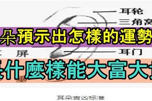 耳朵預示出怎樣的運勢？耳朵長什麼樣能大富大貴