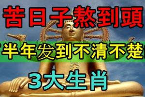 苦日子熬出頭，下半年發到不清不楚的3大生肖！