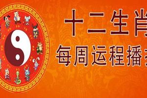 十二生肖一周運勢！（9月04日-9月10日）