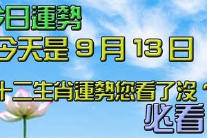 今天是9月13日十二生肖運勢您看了沒?必看!