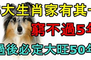 6大生肖家有其一，窮不過5年，過後必定大旺50年！