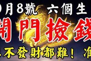 10月8號後，這六個生肖開門撿錢，想不發財都難！