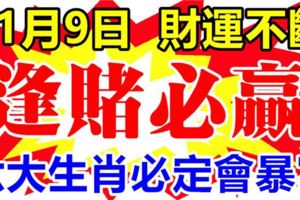 11月9日開始，財運不斷，逢賭必贏的6大生肖！