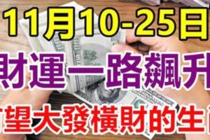 高人指路！11月10-25日財運一路飆升，有望大發橫財的6生肖