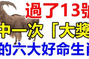 過了13號，這六大好命生肖，年底前必有天降橫財，中一次「大獎」！