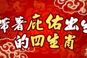 生肖運勢17/11十二生肖得注意的事項