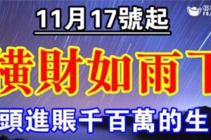 機會來了！17號起橫財如雨下個不停，悶頭進賬千百萬的生肖！