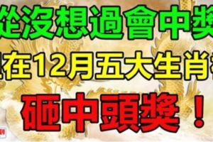 從沒想過會中獎，但在12月就被頭獎砸中的五大生肖！