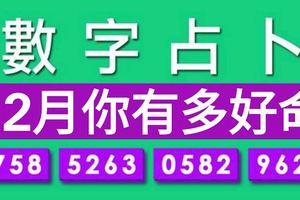 數字佔蔔：憑直覺選一組數字測出12月你有多好命？